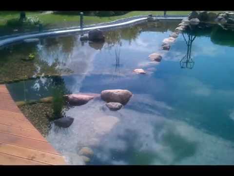 www.koi-karpfen-center.net 2