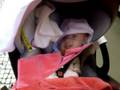 Gabriela vai às compras