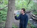 The Woods~ Bloopers Part 2 The Woods~ Bloopers Part 2