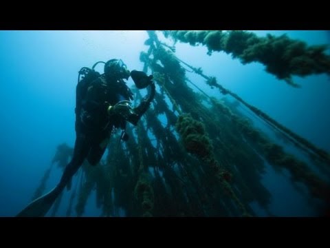 America : Christopher Columbus ship the Santa Maria may have been found (May 13, 2014)