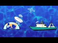 Overview of Illegal, Unreported and Unregulated (IUU) Fishing. Food and Agriculture Organization of the United Nations (©FAO www.fao.org)