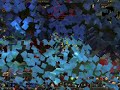Dardinio Warrior Pvp Destromath Dardinio Warrior Pvp Destromath