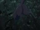 Wolf Rain Afterthought Wolf Rain Afterthought