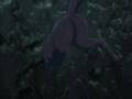 Wolf Rain Afterthought