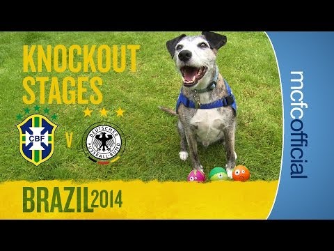 DOUGIE THE DOG PREDICTS | Brazil v Germany World cup Semi-final