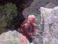 Caving-Seminars-Sykia-Σεμινάρια-Σπηλαιολογίας-ΣΕΛΑΣ