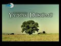 Ferhat G�cer-Takvim