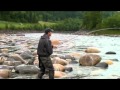 Gusten kör fisk