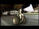 Dangerous fly