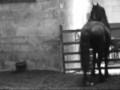 my horse dee in the indoor school. :d  

the music is 