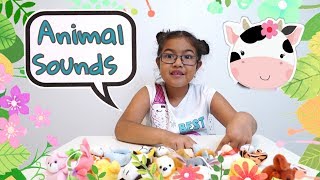 Teaches Animal Sounds | Old MacDonald for Children (17 Amazing Animals) in English and Spanish!