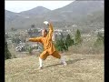 kungfu ching