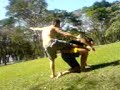 Tretas no Parque do Carmo 4
