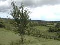 Las Tablas Land for sale 3.45 Hecs titled
