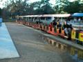 Hermann Park Train - The Final Shots (Part 8) Hermann Park Train - The Final Shots (Part 8)
