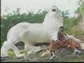 Krosfyah - Pump Meh Up