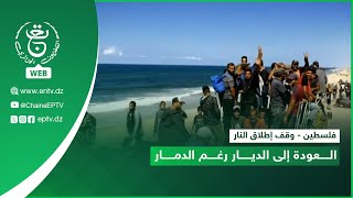 فلسطين - وقف إطلاق النار| العودة إلى الديار رغم الدمار