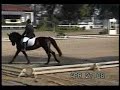 Deminho Ranking Adestramento