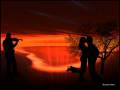 Ver Video