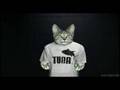 Lolcat: An Animated History (Part 1 / 3 )