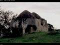 My beloved Palestine