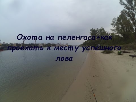 рыболовные места в ростове на дону рыболовные места на ростове возьми дону
