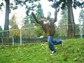 tripping and falling tripping and falling