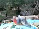 provant fronflip en 26\ provant fronflip en 26\