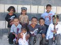 2008,التقطت,الفطر