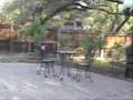 8105 Shelborne Drive