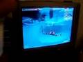 videos de Under Vaporfield Glitch