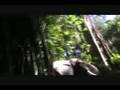 The Jungle Cruise at Disneyland