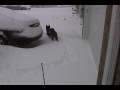 videos de SDV 0112