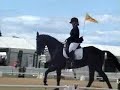 hanna smithies on alcazar MH horse of the year 2007