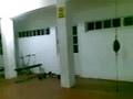 Josel Arnedo