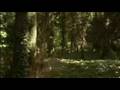  - MovieZen Video
