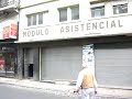 osalara crece osalara crece