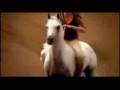 Natural Horsemanship: My Immortal