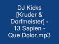 DJ Kicks [Kruder & Dorfmeister] - 13 Sapien - Que Dolor mp3