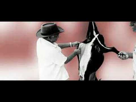 Carne Seca
