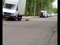 top speed