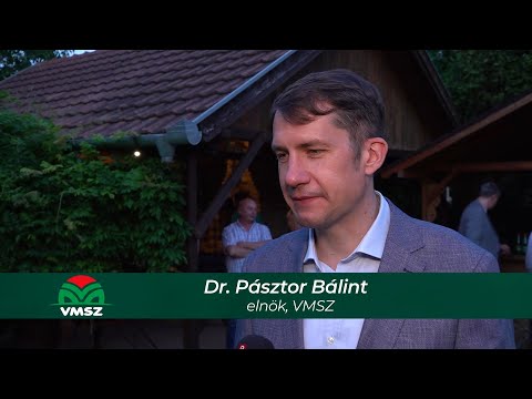 Egyedül a VMSZ-nek sikerült megoldania a migránsproblémát!-cover