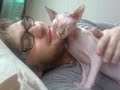 My sphynx loves me Sphynx