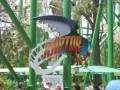 Raptor - Fantasilandia