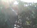 videos de Juan papo