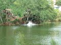 la laguna el rosario sinaloa