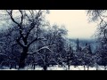 Winter in Yosemite National Park - YouTube