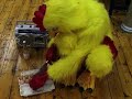 Rooster Rooster