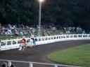 Portage County Charity Horse Show - Arabian Costume Class