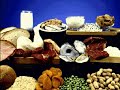 How the Body Works and Food